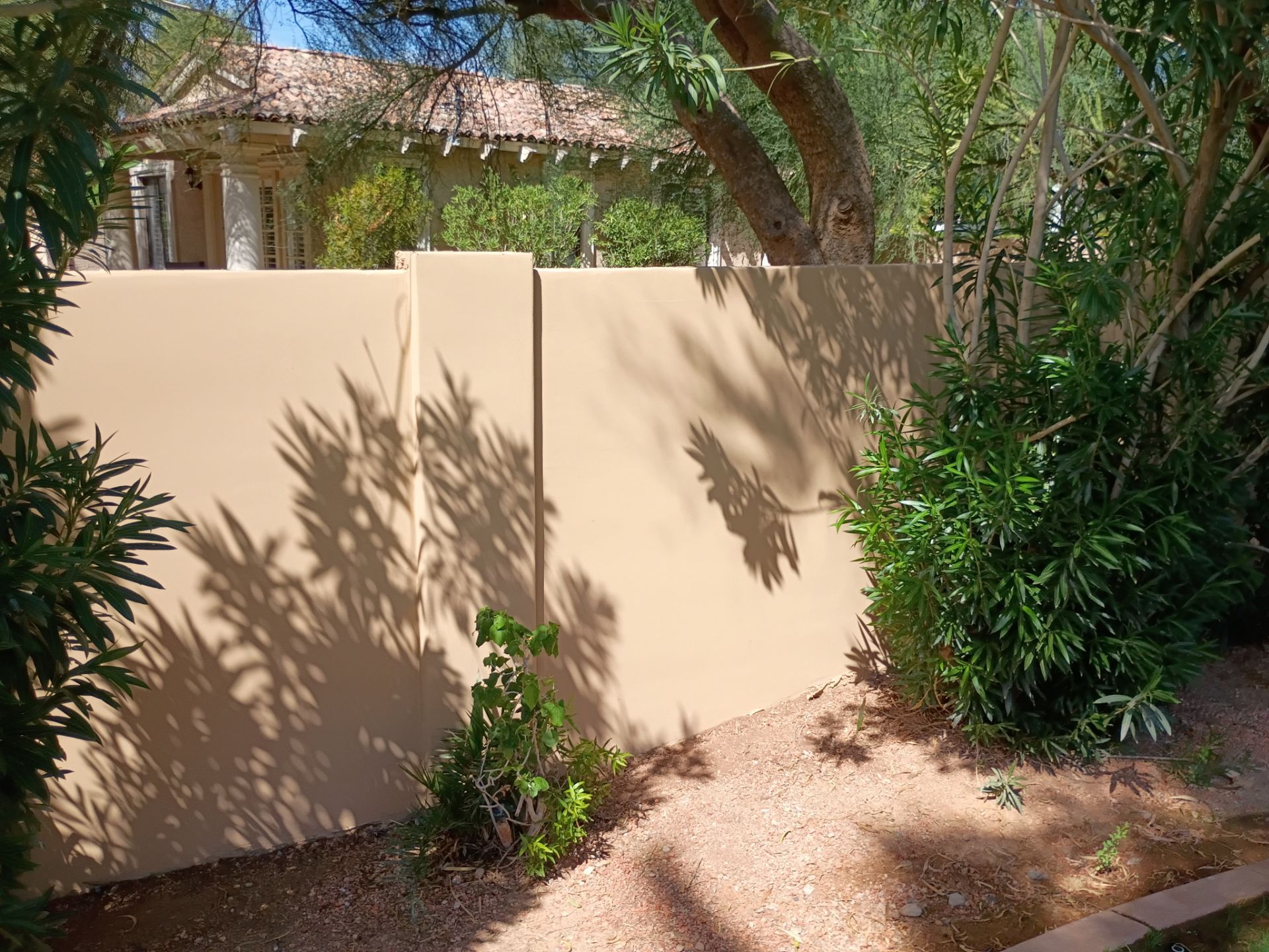 Freshly painted perimeter wall on a East Valley property