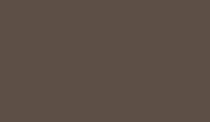 Black Walnut paint color