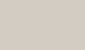 Popular Gray paint color
