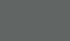 Roycroft Pewter paint color