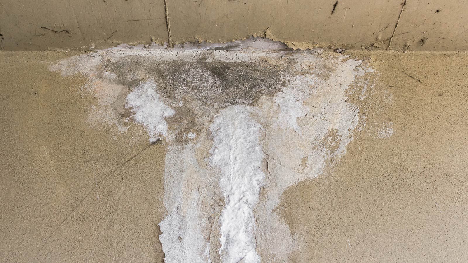 Epoxy flooring damage due to efflorescence.